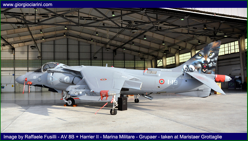 20%5Eanniversario-AV8B-Harrieri-II-Plus-30mila-ore-Marina-Militare-2011-foto1.jpg