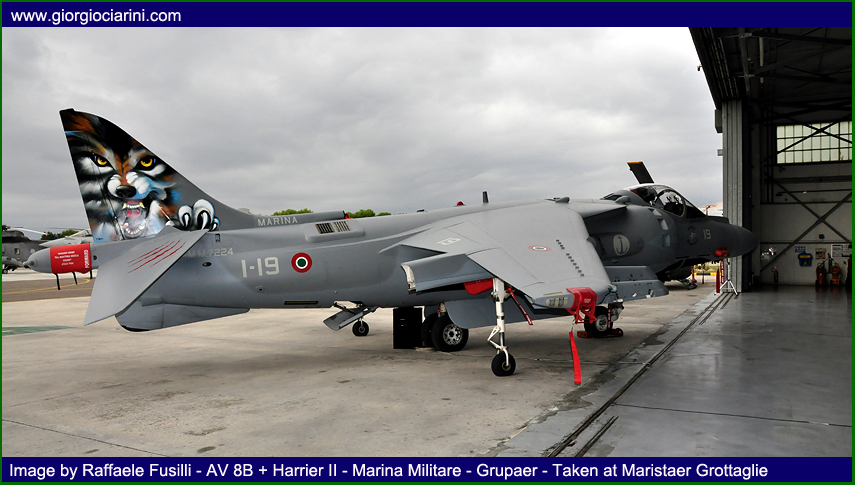 20%5Eanniversario-AV8B-Harrieri-II-Plus-30mila-ore-Marina-Militare-2011-foto4.jpg